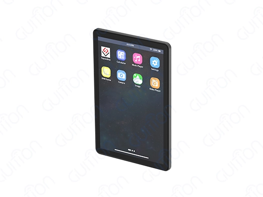 10.1 inch display module