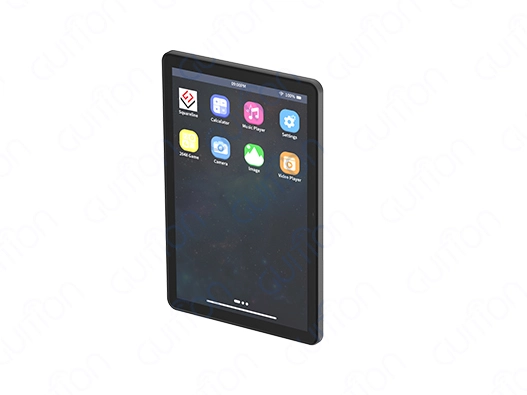 display module