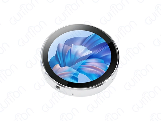 Knob display module