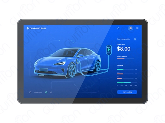 10.1 inch display module