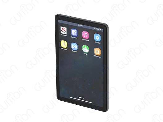 display module