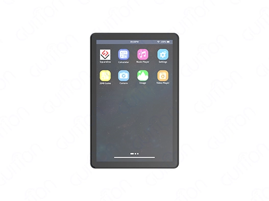 display module