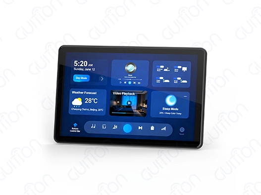 display module