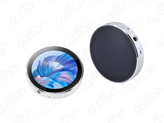 Knob display module