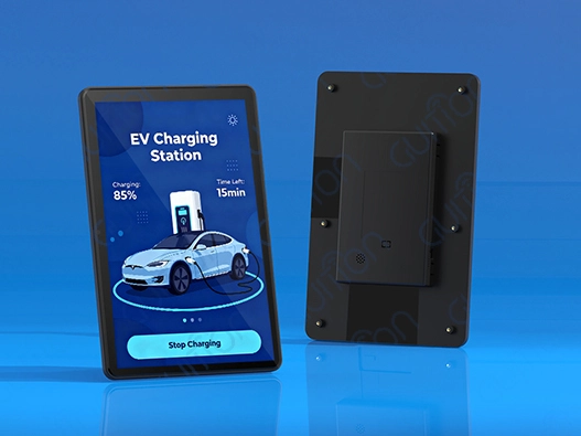 10.1 inch display module