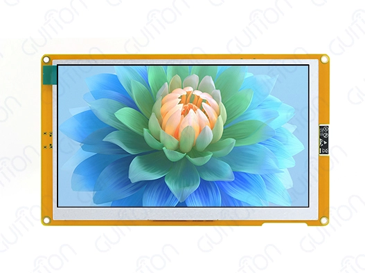 Custom lcd display module